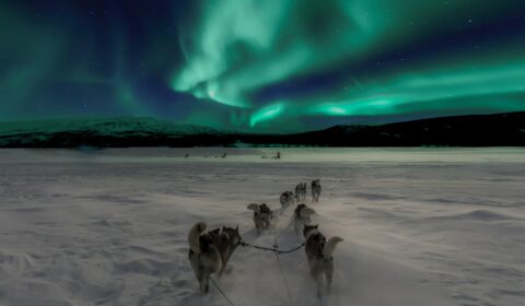 Når og hvor er det best å se nordlys? 3